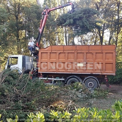 Grosseto | Smaltimento potature e sfalci di piante ed alberi alto fusto